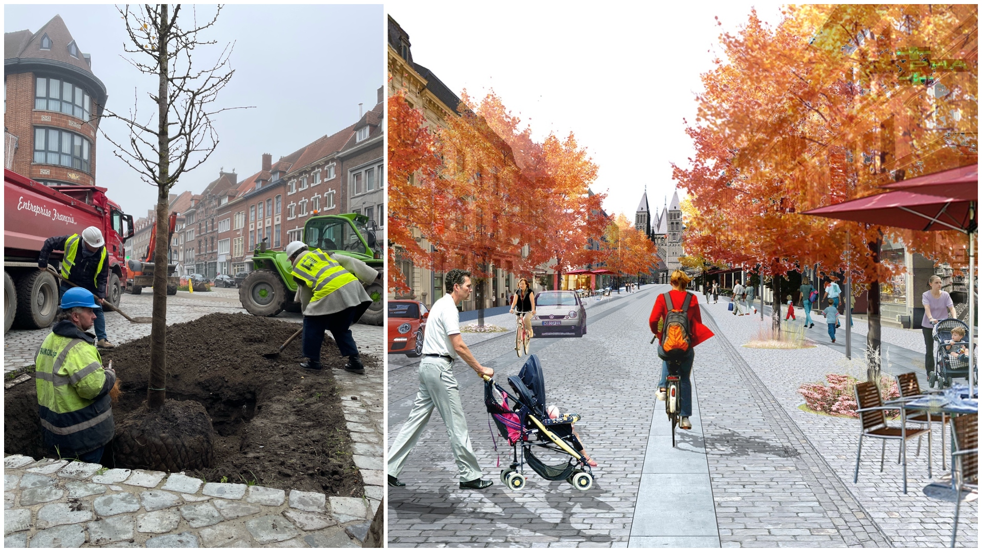La rue Royale à Tournai plus verte qu'avant : les premiers arbres ont été plantés