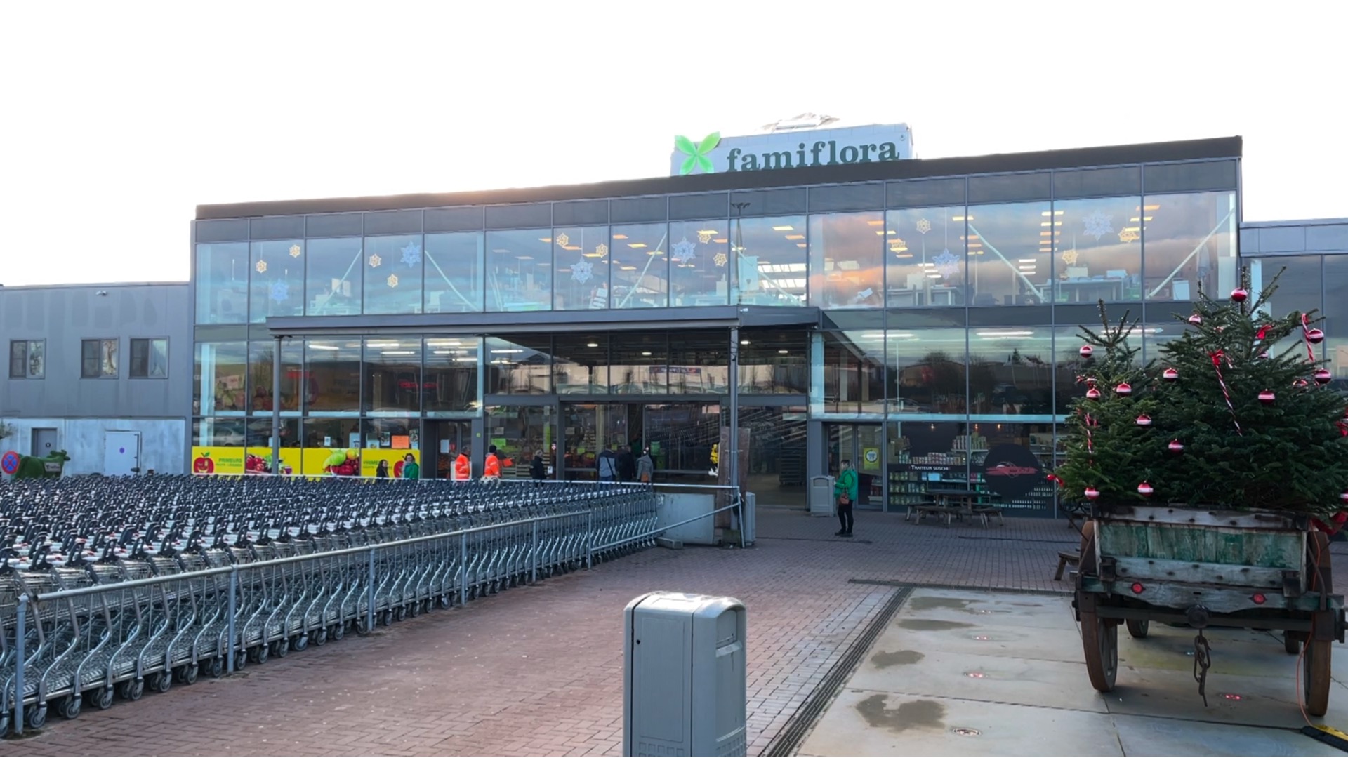 Mouscron : la jardinerie Famiflora obtient gain de cause et rouvrira ce jeudi
