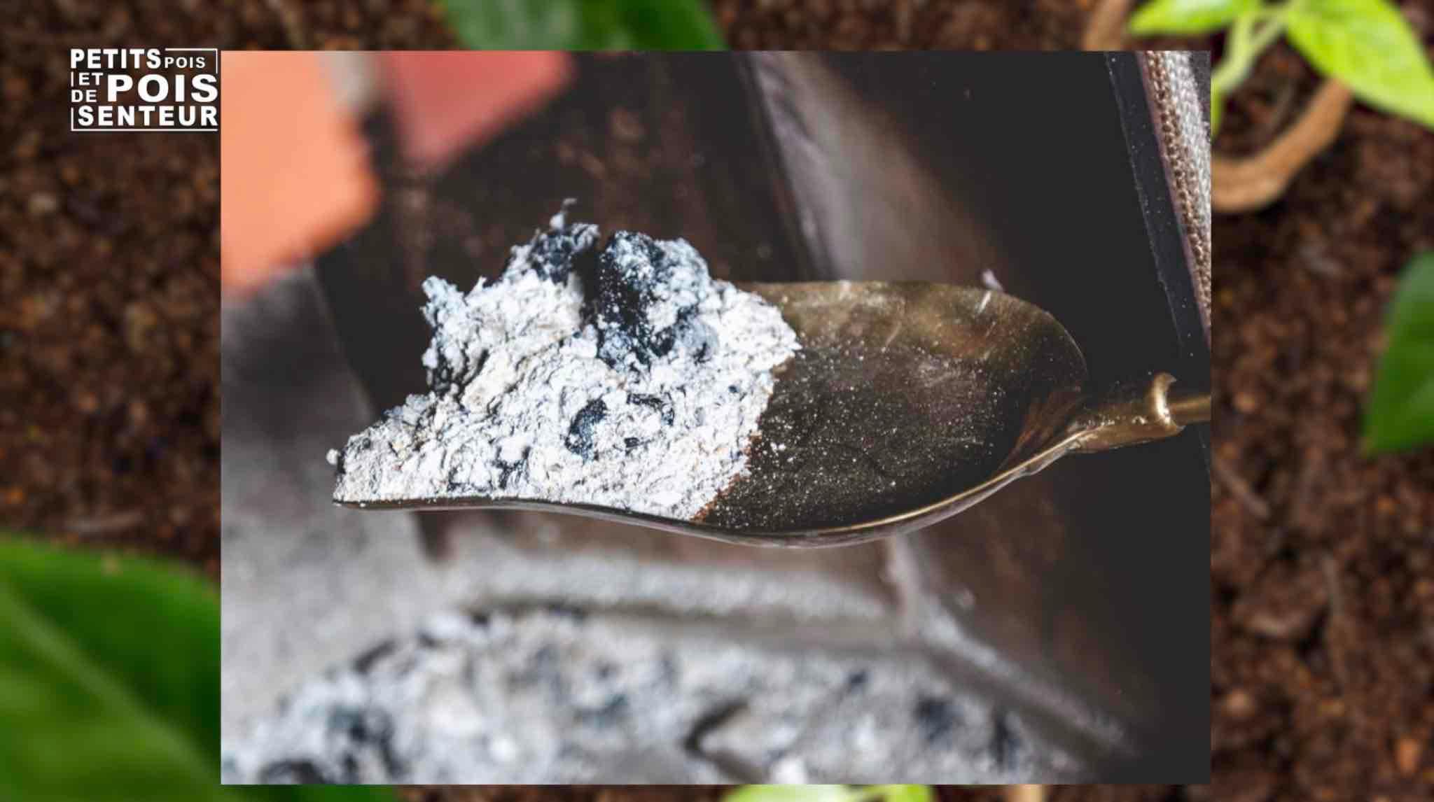 Utiliser les cendres de pellets au jardin, une bonne idée — free download