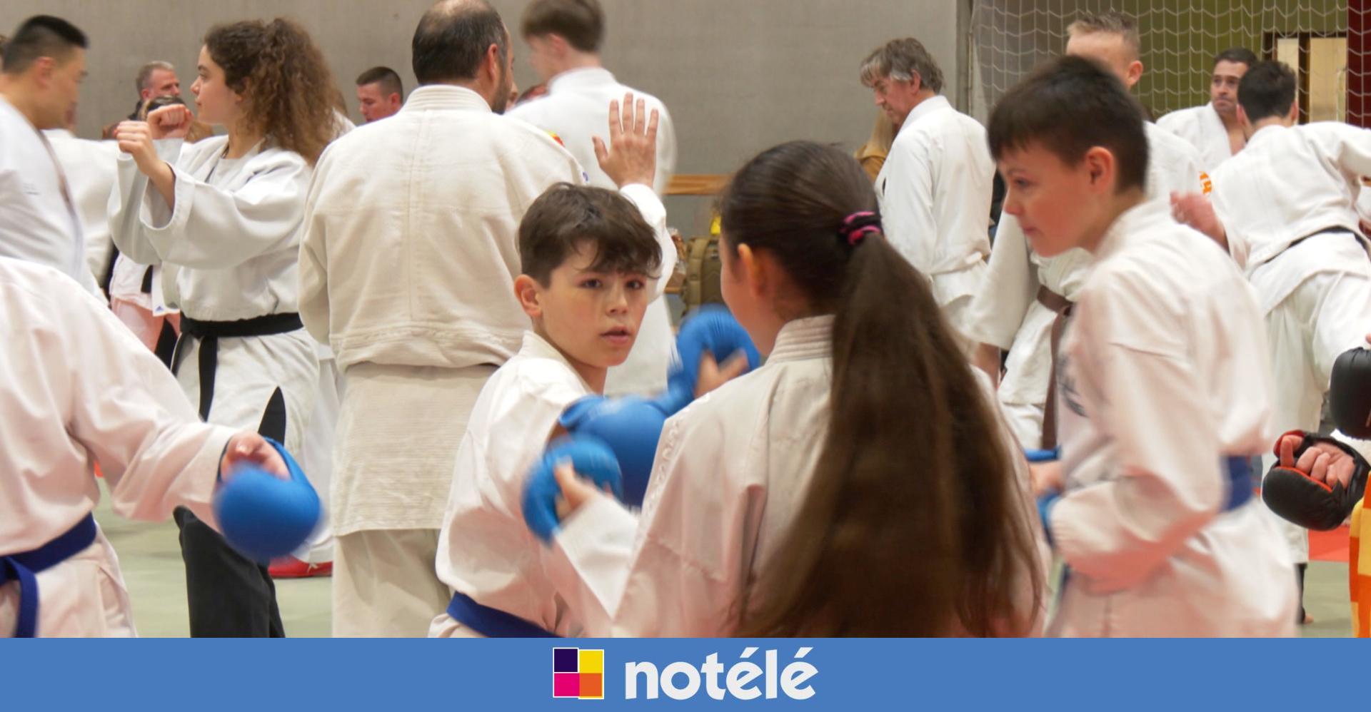JuJitsu, judo ou karaté l