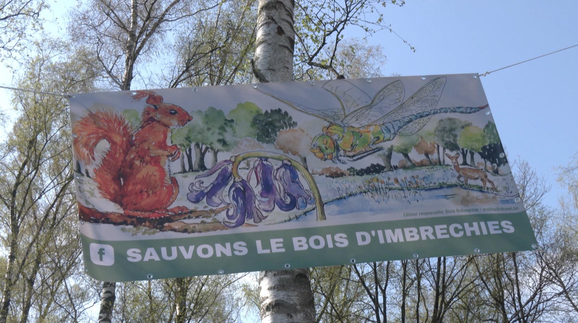 La ministre de la Forêt Céline Tellier sur l'avenir du bois d'Imbrechies à Harchies : «L'érosion de la biodiversité est un enjeu crucial»