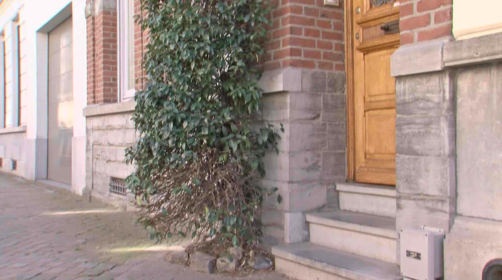 La Ville d'Enghien veut faciliter la végétalisation des façades