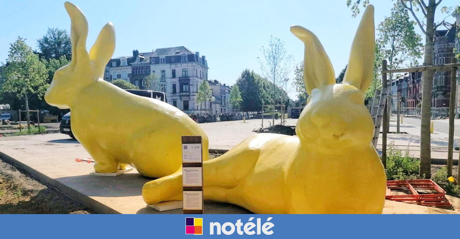 Tournai deux lapins géants s'installent près de la rue Royale
