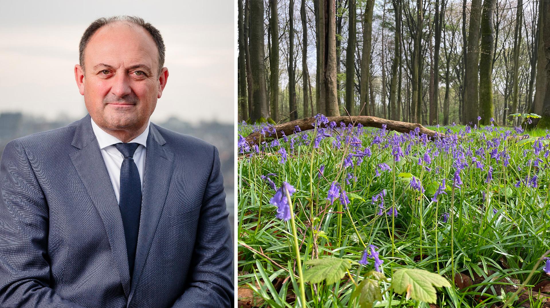 Extension du zoning d'Harchies : le bois d'Imbrechies menacé, le ministre Willy Borsus répond aux inquiétudes