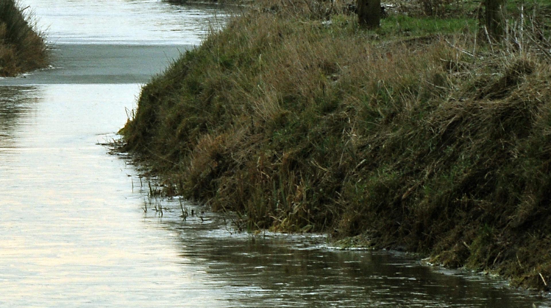 Tournai : 791.000 euros de subside pour créer une digue contre les inondations le long du Rieu d’Amour