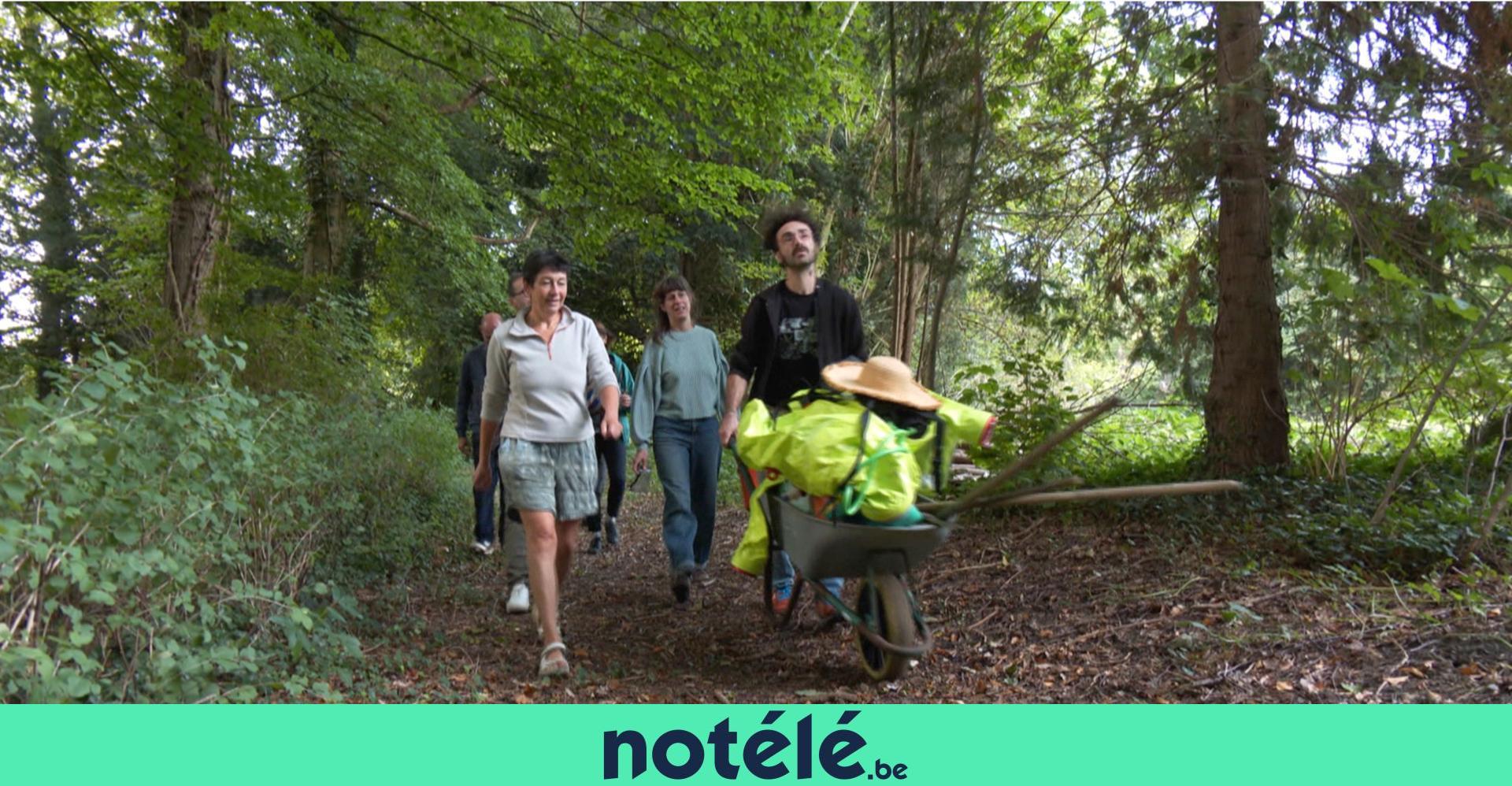 Avance ou rotules, un festival d'art de rue en plein Velaines