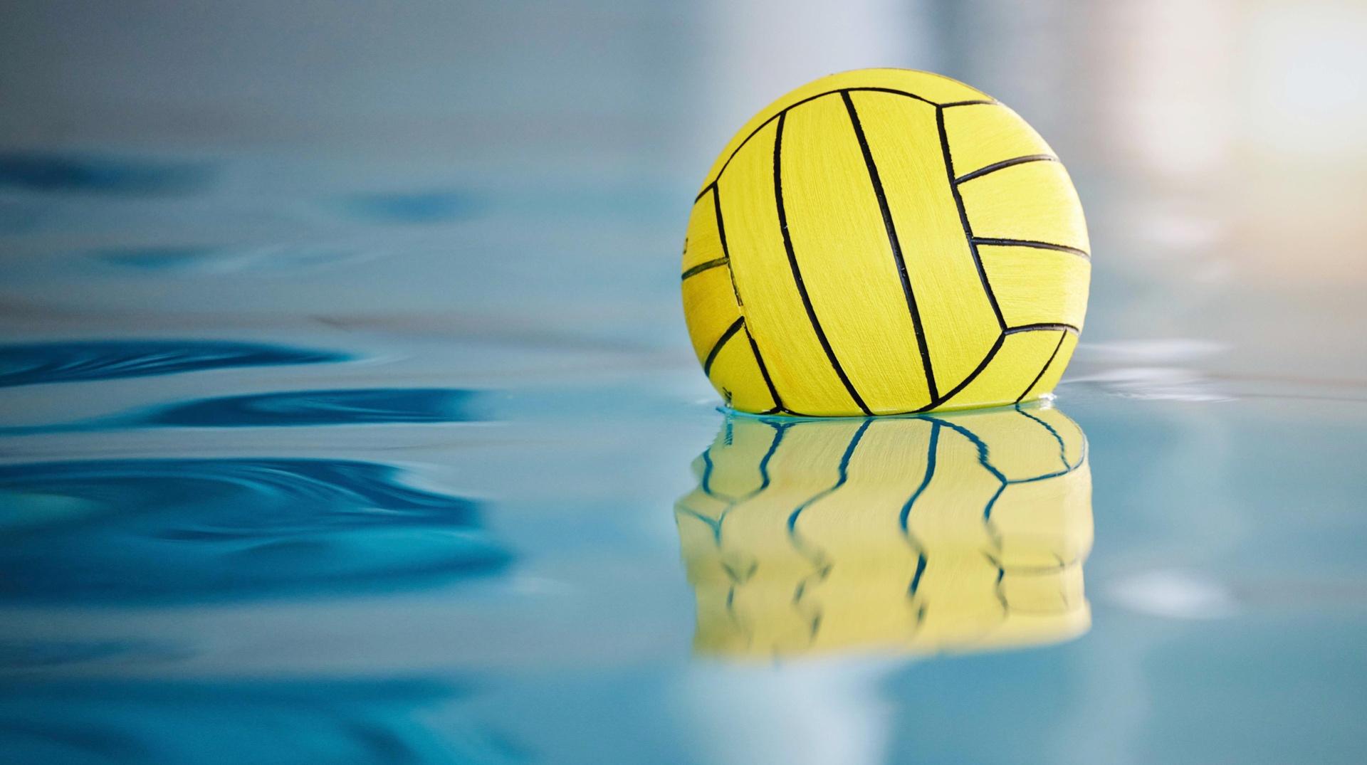 Les Dauphins mouscronnois reviennent en Coupe d'Europe de water-polo : vivez tous les matchs en intégralité sur notele.be