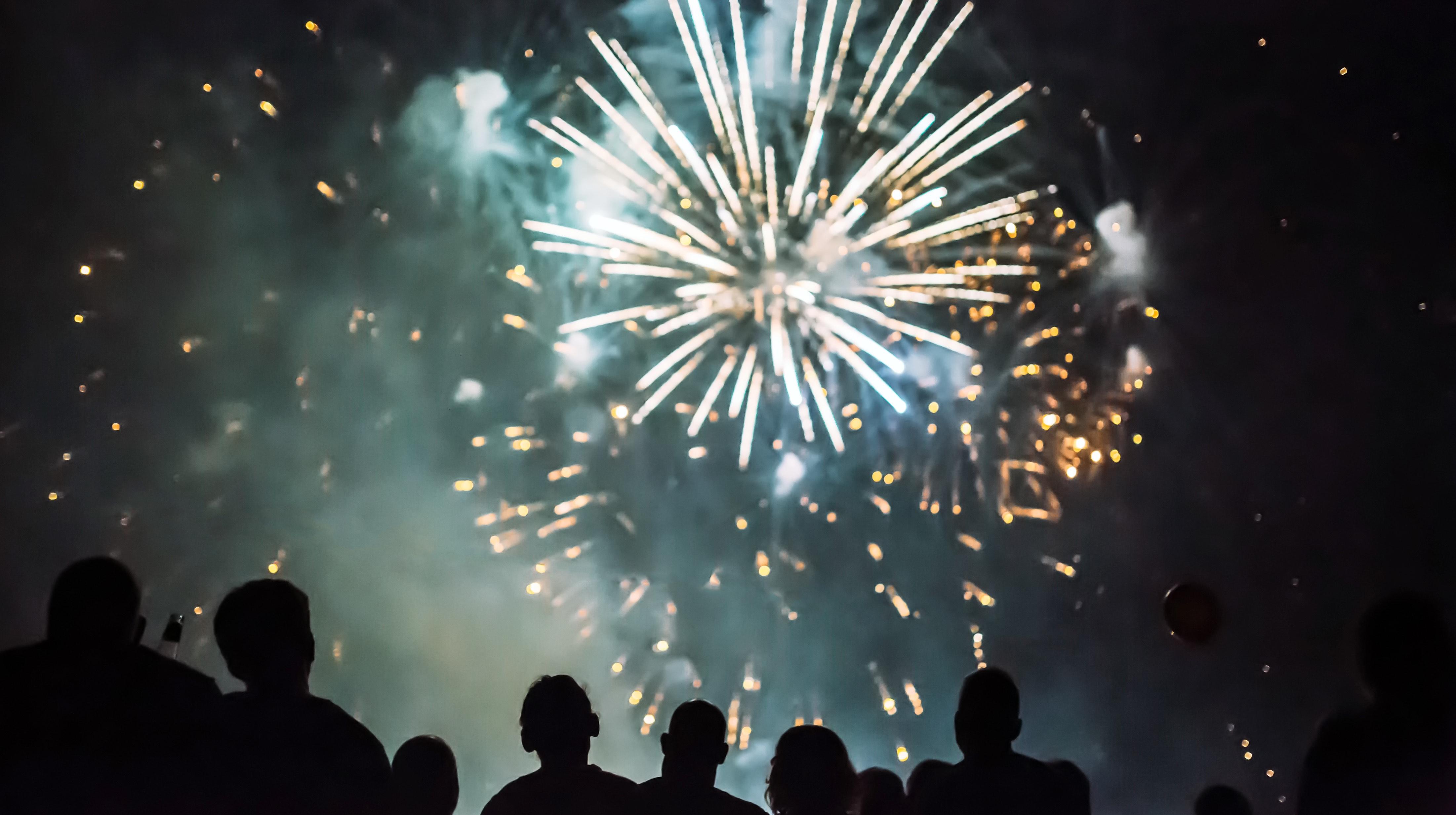 «Un réel acte de braconnage» : une association dénonce le feu d'artifice du Carnaval de Tournai prévu dans le Jardin de la Reine