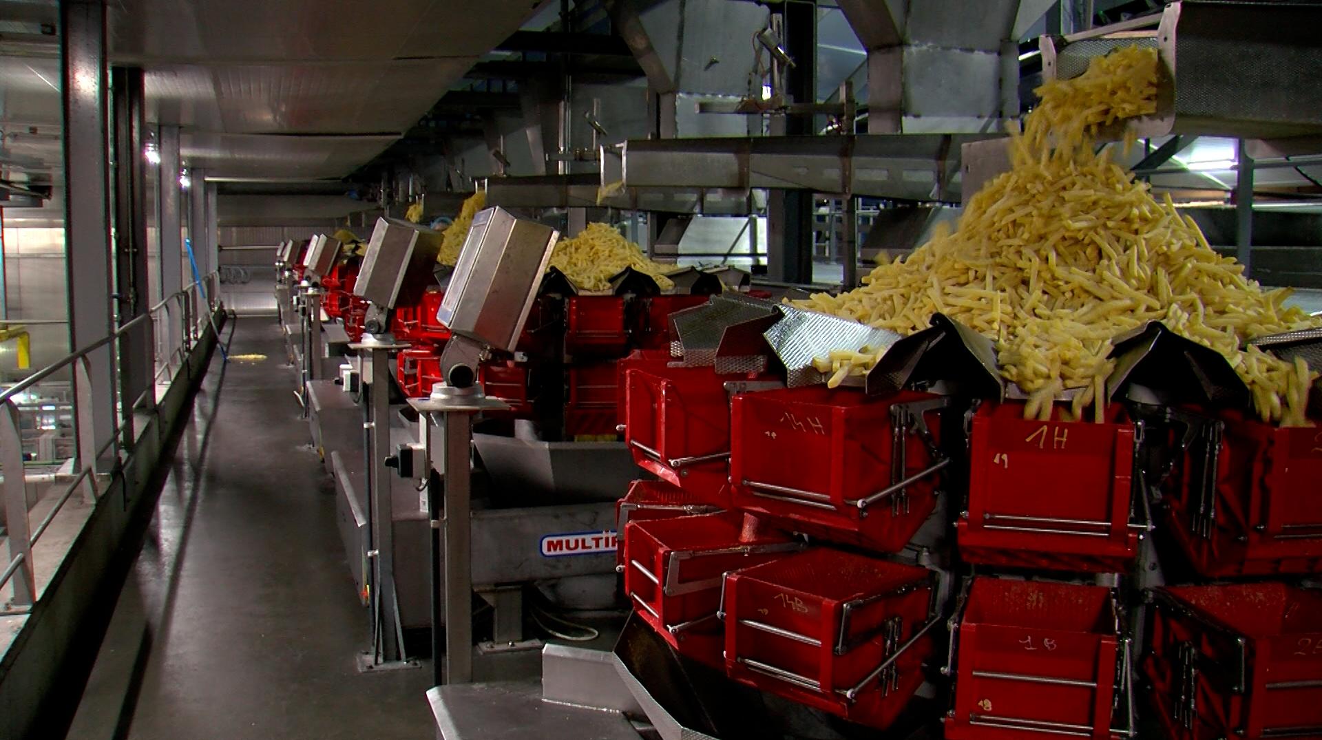 Warneton : les contrôles menés chez Clarebout Potatoes ont révélé de nombreuses infractions