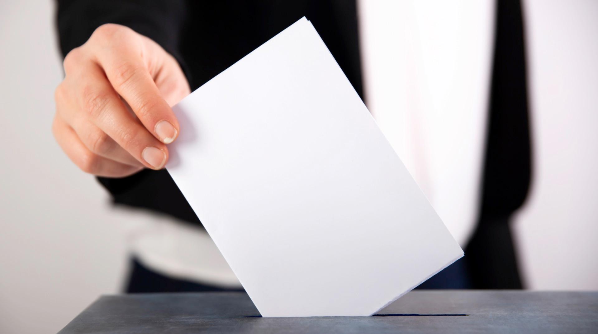 Elections régionales, fédérales et européennes : voici les candidats pour lesquels vous pouvez voter en Wallonie picarde
