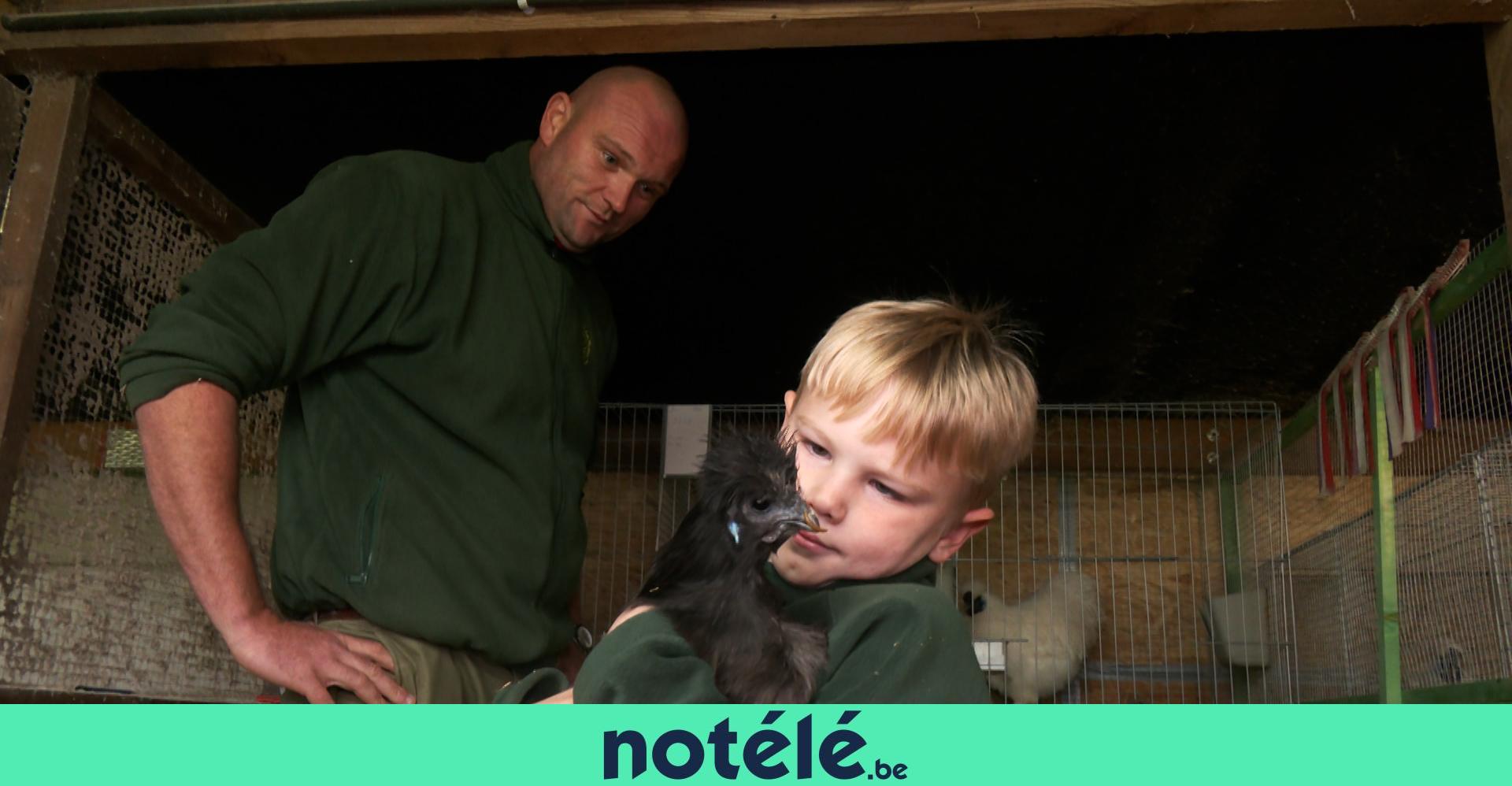 Béclers : des petits éleveurs de volailles de père en fils au nom de la ...