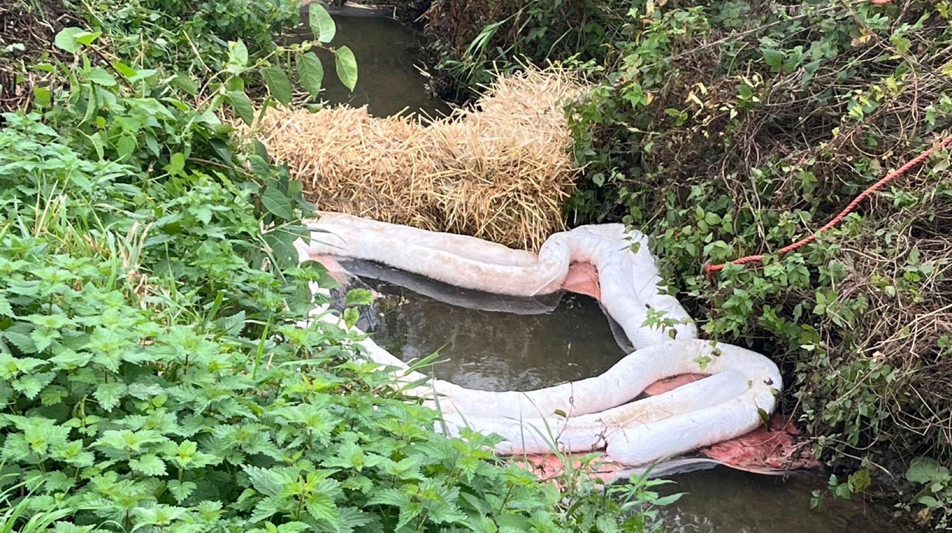 Frasnes-lez-Anvaing : une pollution au mazout constatée dans la Rhosnes