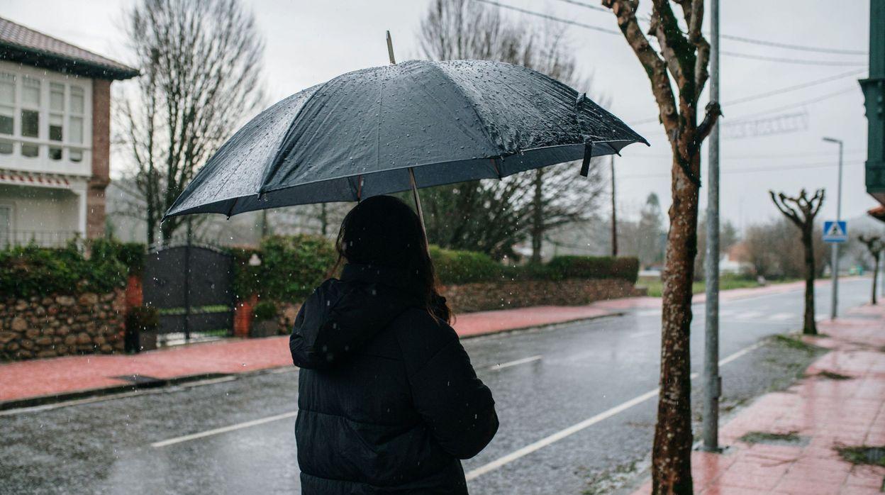Parcs fermés, stationnement interdit : les communes prennent des mesures face aux rafales de vent attendues