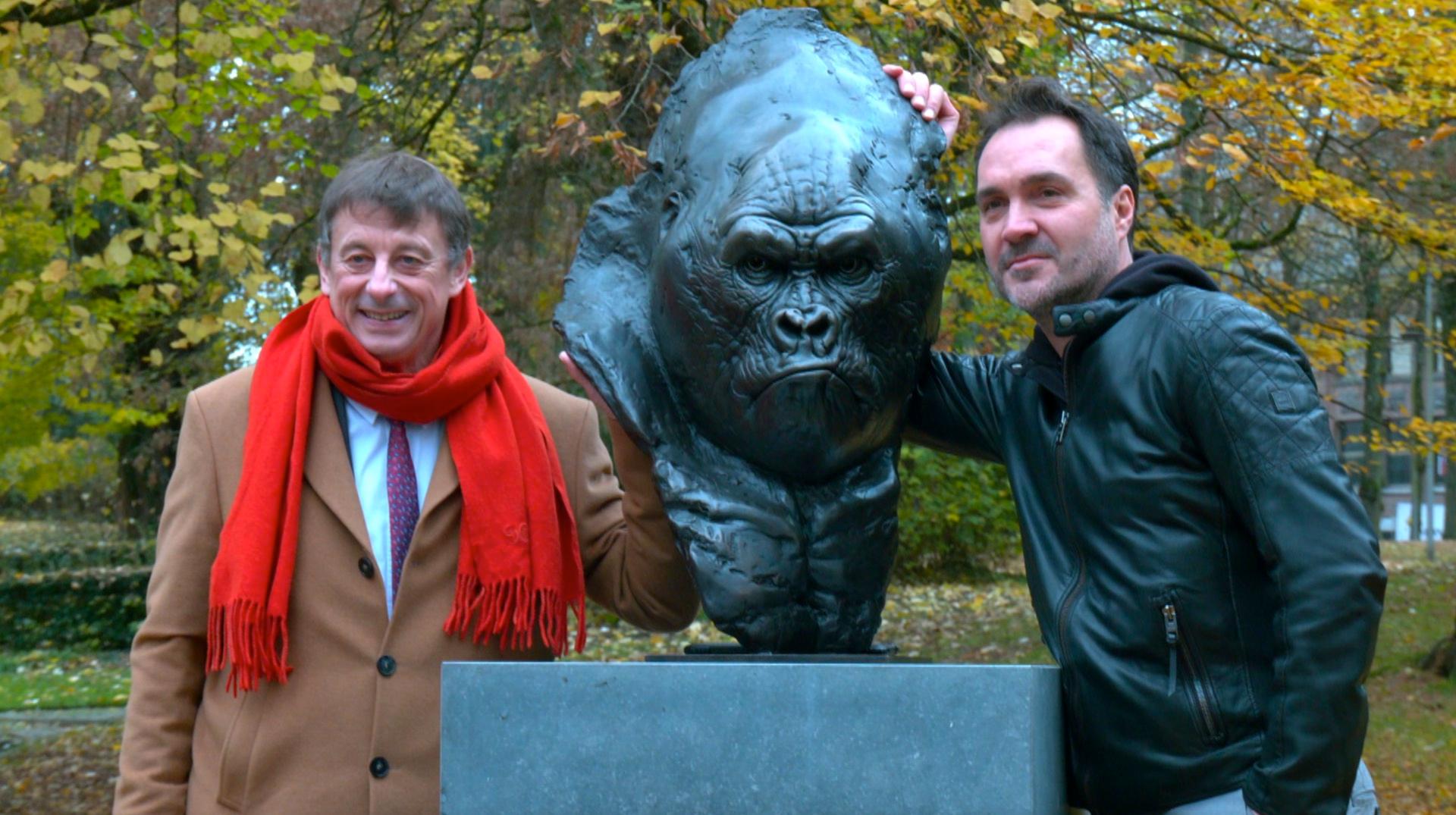 L'agence du Patrimoine réagit à l'enlèvement de la tête de gorille à Tournai : «Nous ne l’avons jamais demandé»