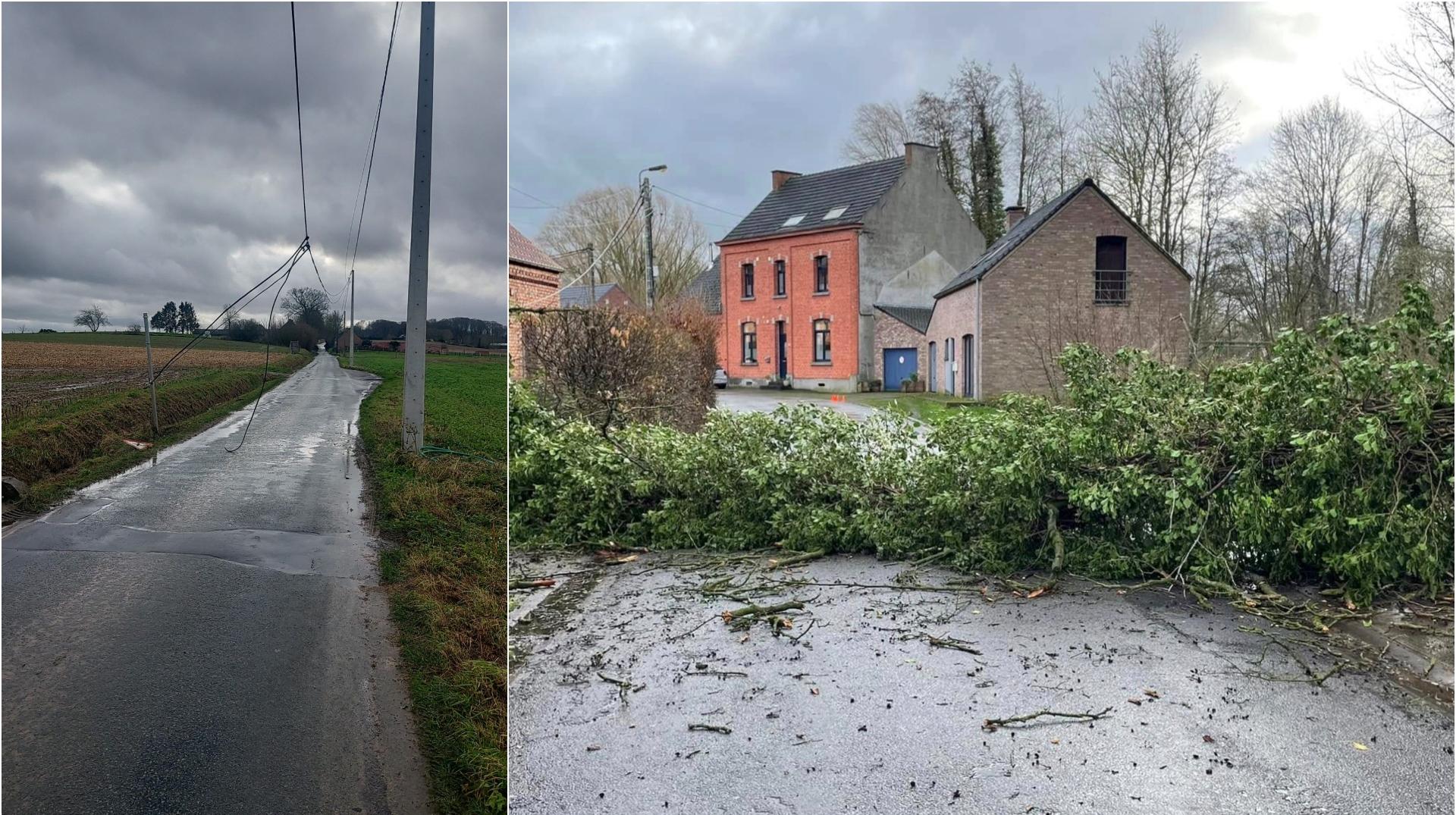 Arbres, câbles électriques : le vent a provoqué quelques dégâts en Wallonie picarde