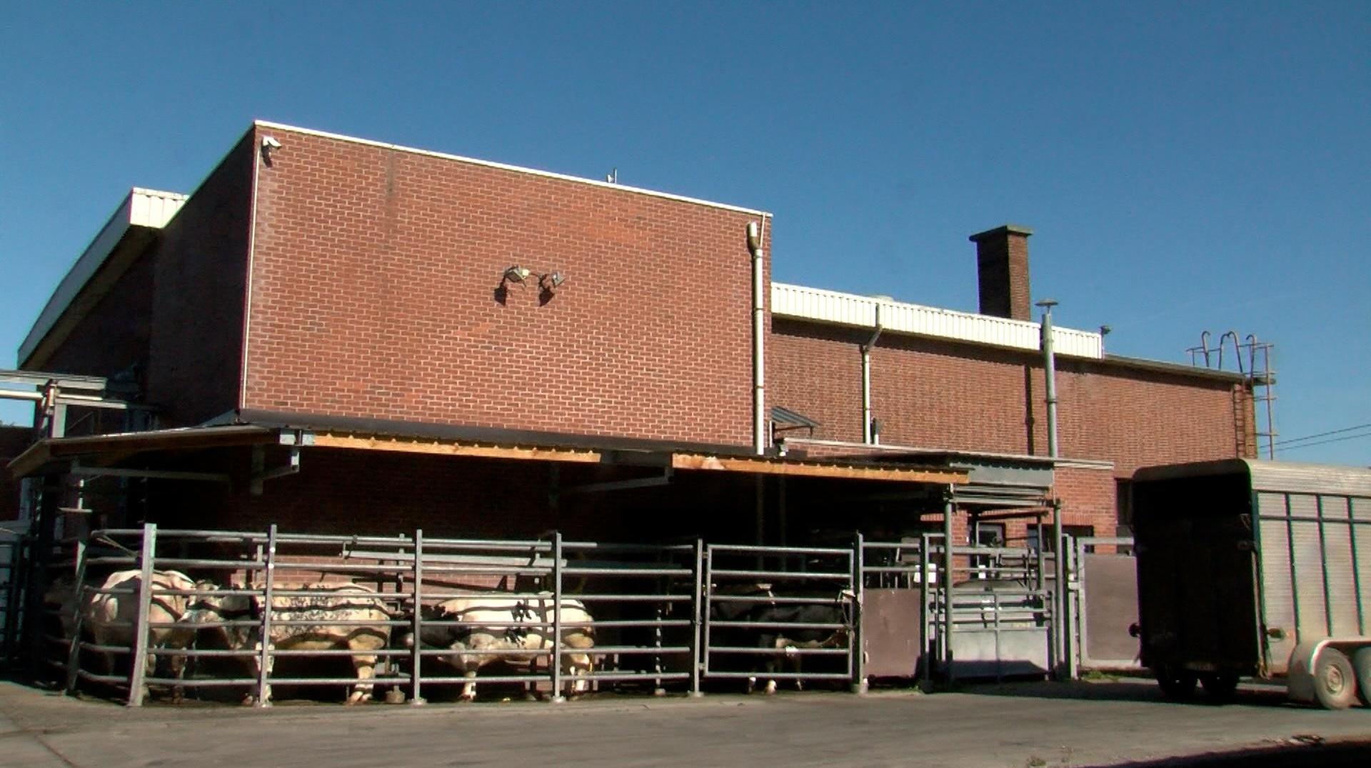 Reprise de l’abattoir d’Ath : la piste de la coopérative pourrait se concrétiser