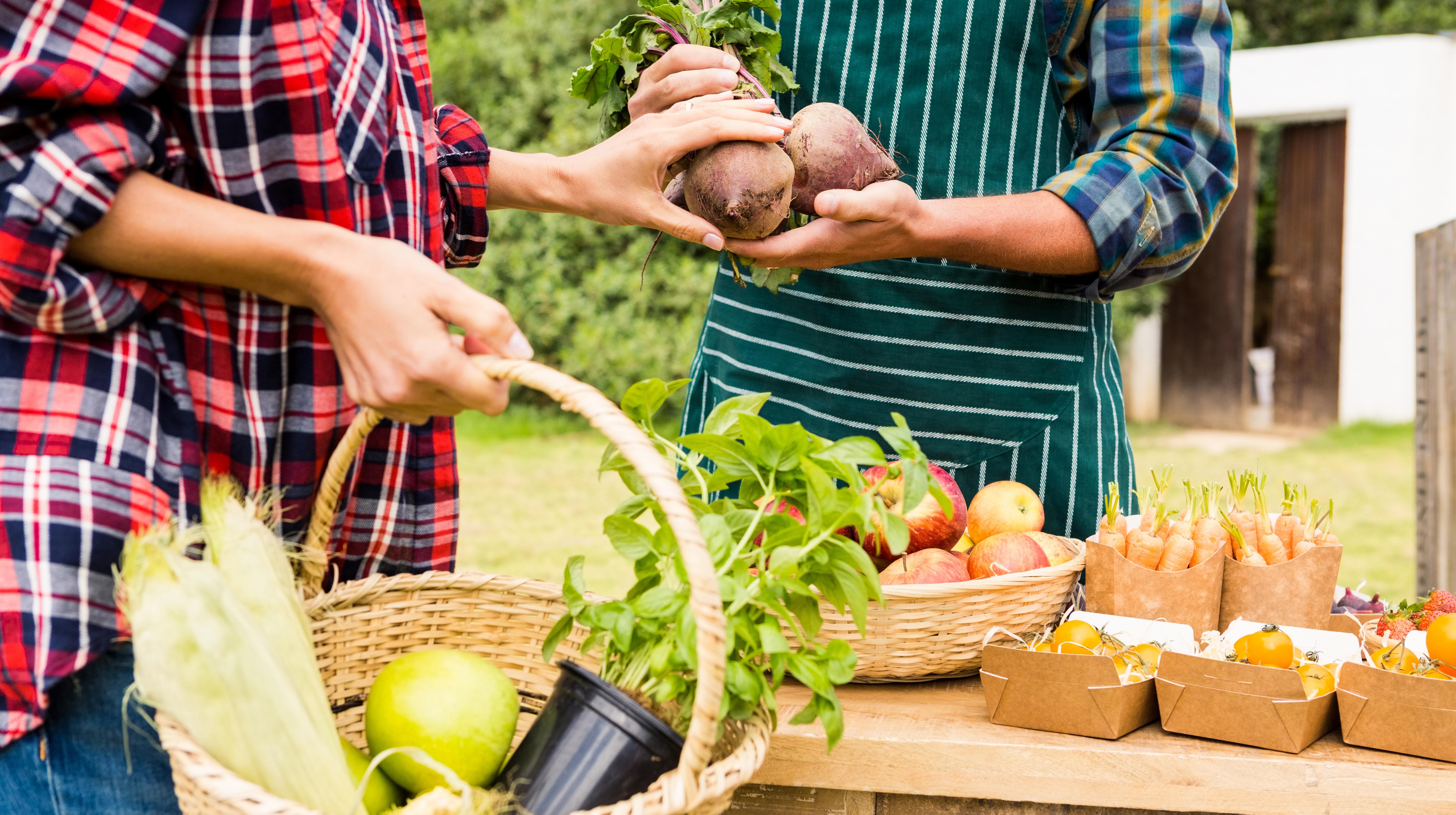La commune de Silly ne voit pas l’intérêt d’adhérer au Conseil de Politique Alimentaire de la Wapi