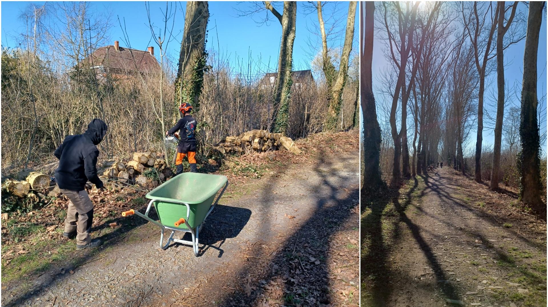 Quevaucamps : des travaux d'entretien spécifiques menés sur le site de la Drève de Ninove pour favoriser la biodiversité et la mobilité douce