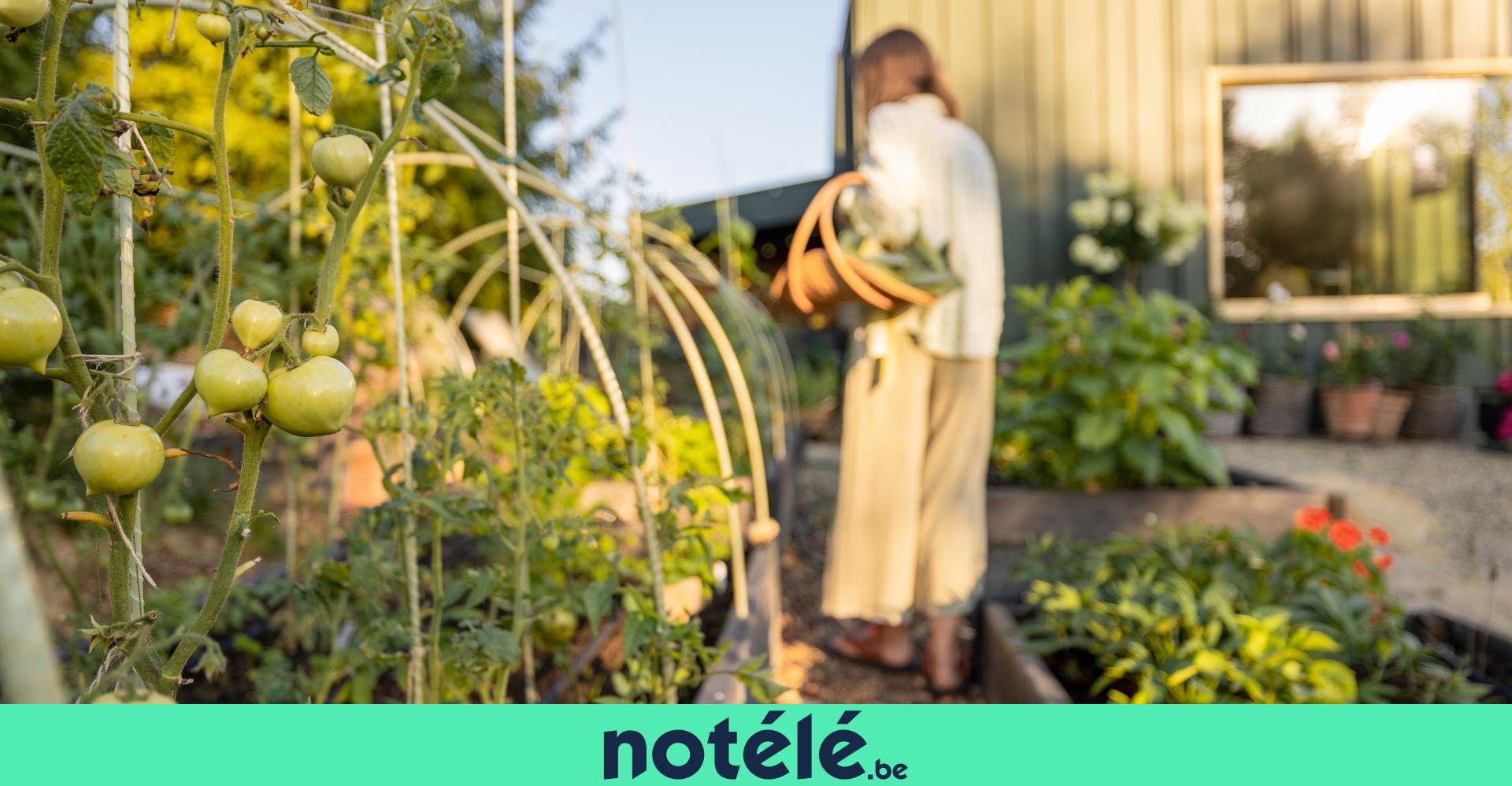 Contamination aux PFAS : les chercheurs font appel aux propriétaires de  potager pour effectuer des prélèvements