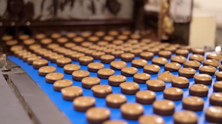Labeléco : Belvas, un chocolat bio et équitable produit à Ghislenghien