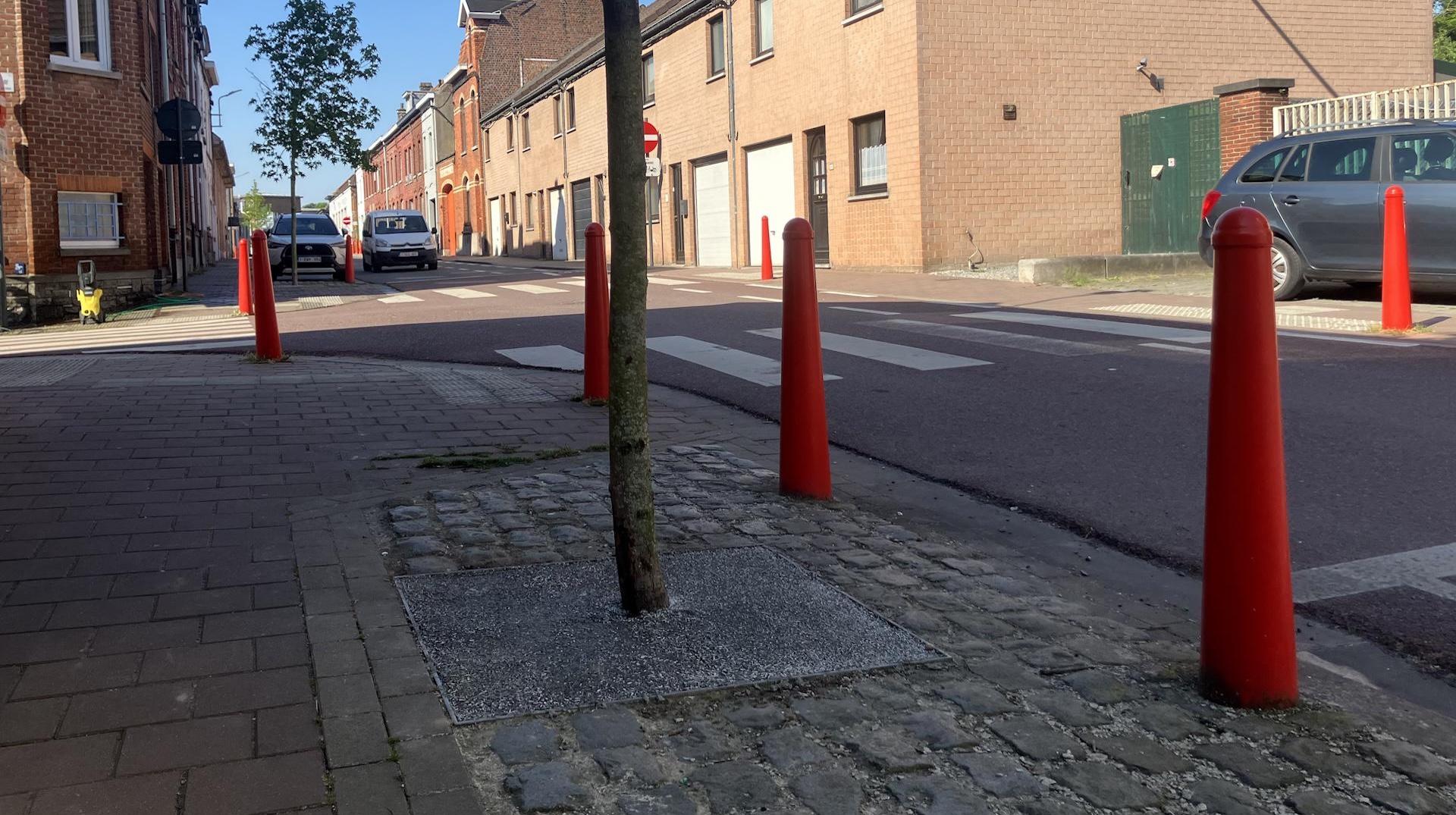 Un béton qui n’en est pas un s’invite au pied des arbres à Mouscron