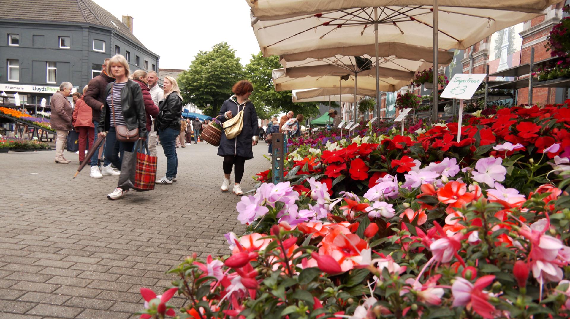 «Gare aux fleurs» se prépare à Péruwelz : découvrez le programme
