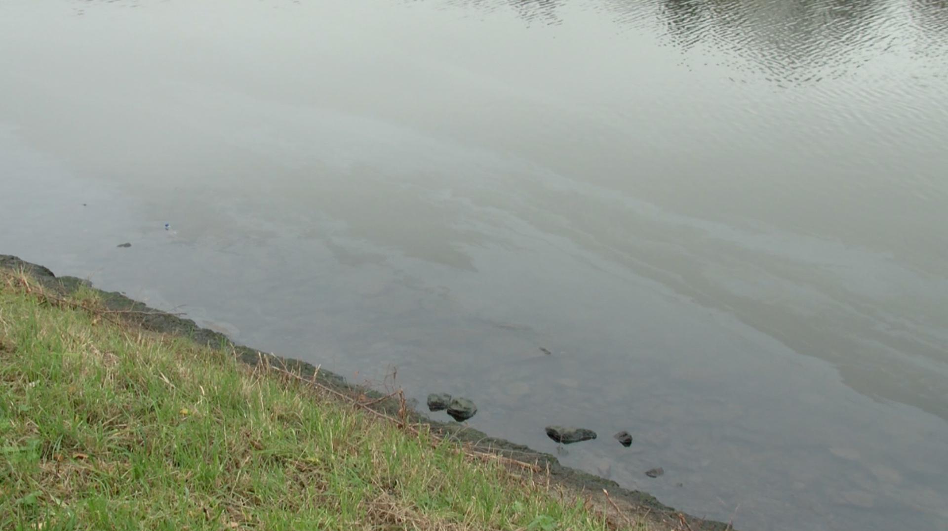 Chercq : une forte pollution aux hydrocarbures dans l'Escaut