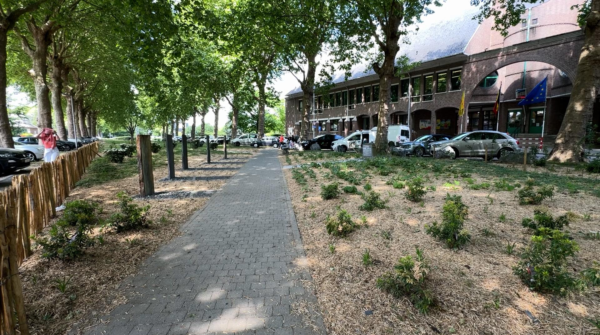 Tournai : la motion du PTB contre la venue de l'ambassadrice israélienne au jardin des Justes a été votée