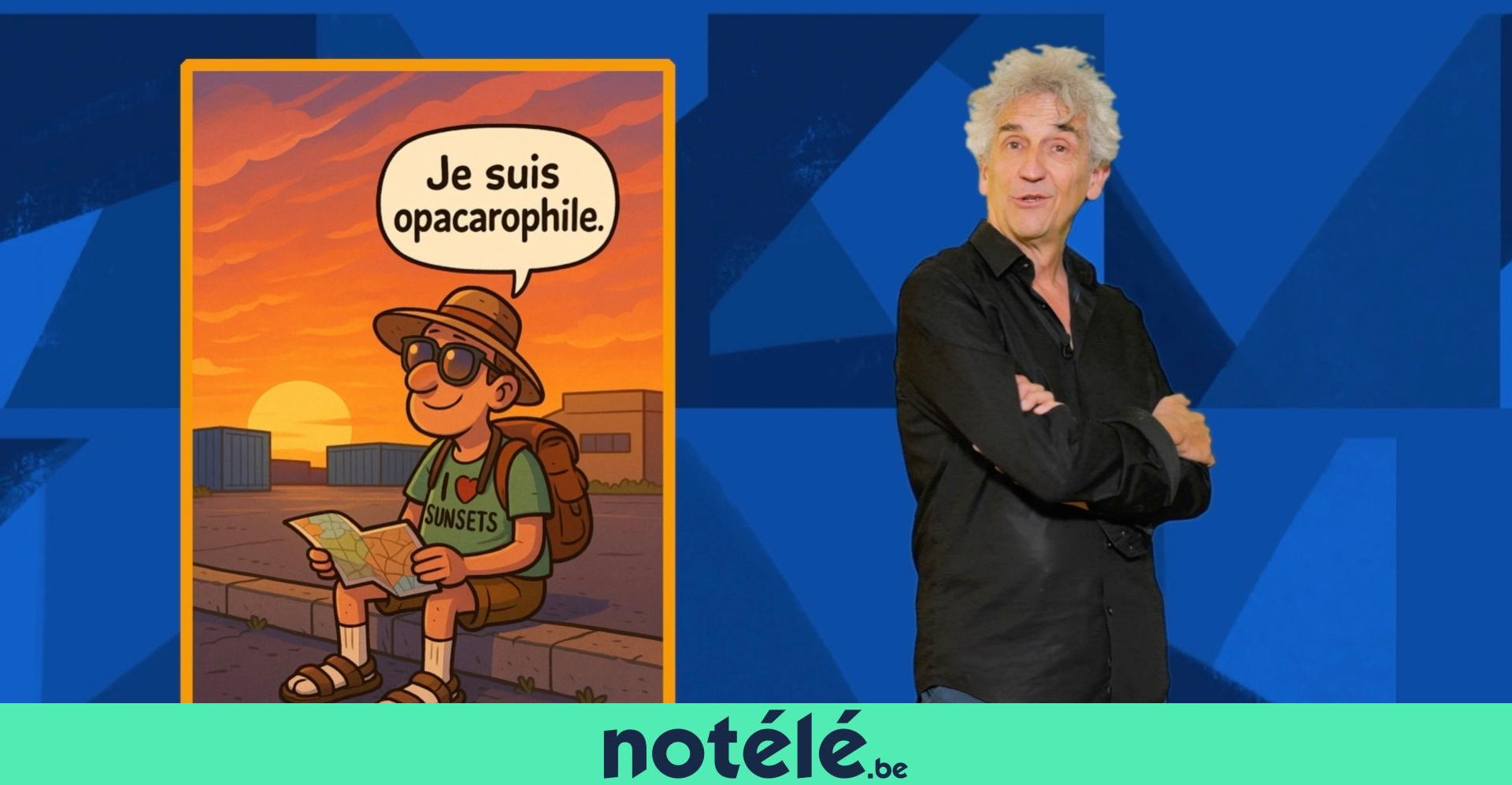 French Kif ! Que le grand tic le toque