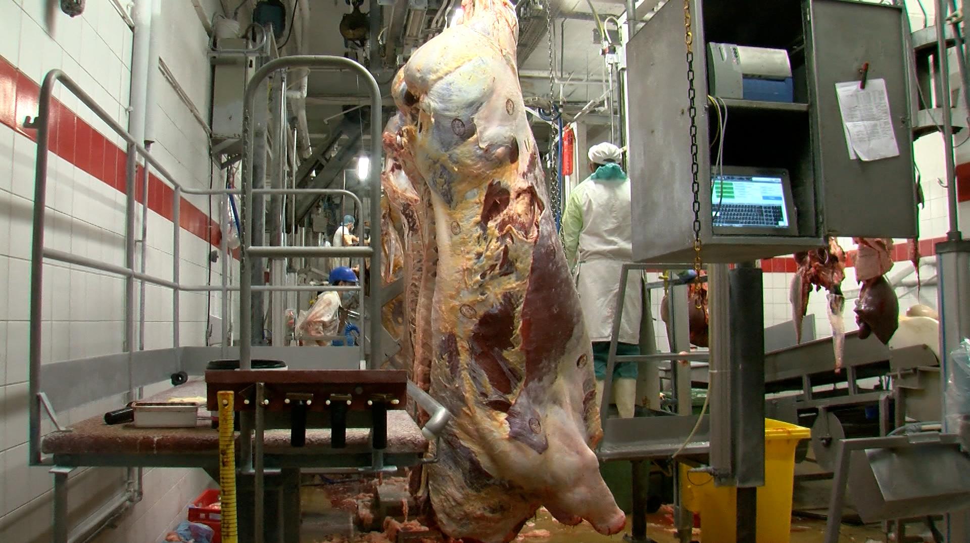 Ath : WapiMaet reprend l'abattoir d'Ath