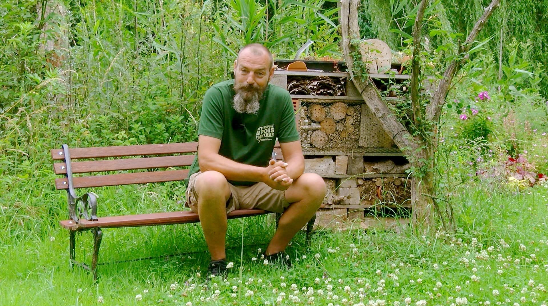 Petits pois et pois de senteur au sujet des coccinelles - 05/07/2025
