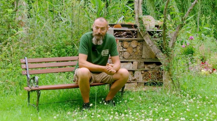 Petits pois et pois de senteur au sujet des coccinelles - 05/07/2025