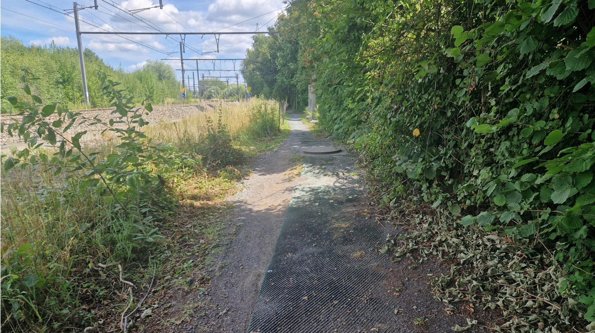 Aménagement de la ligne 123 à Enghien : un chemin en dur pour être durable et praticable par tous