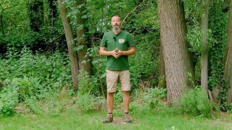 Petits pois et pois de senteur sur l'edelweiss et comment gérer la repousse d'un châtaignier blessé