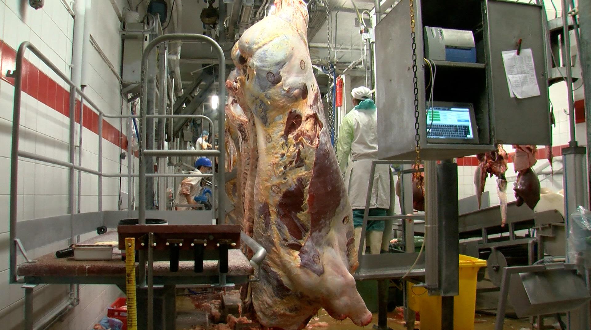 La ville de Leuze-en-Hainaut et le CPAS soutiennent Wapimeat.
