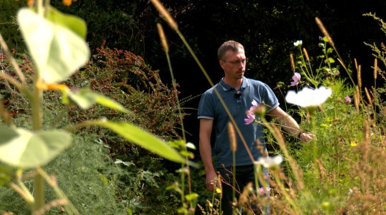 Mon jardin, c'est le pied : comment aménager un pré fleuri dans votre jardin