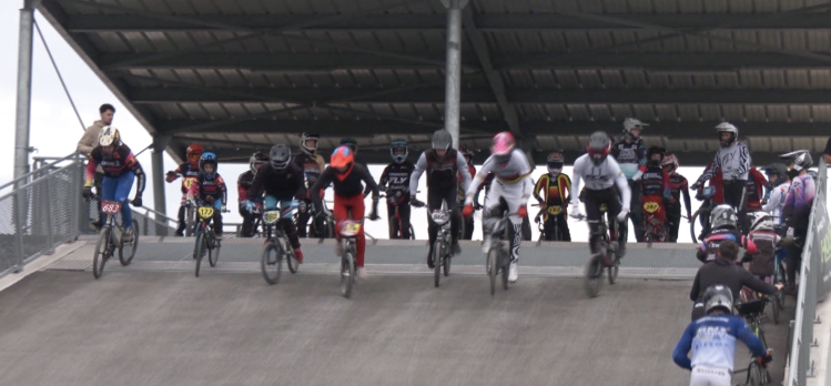 Les dérailleurs : le vélo dans tous ses états