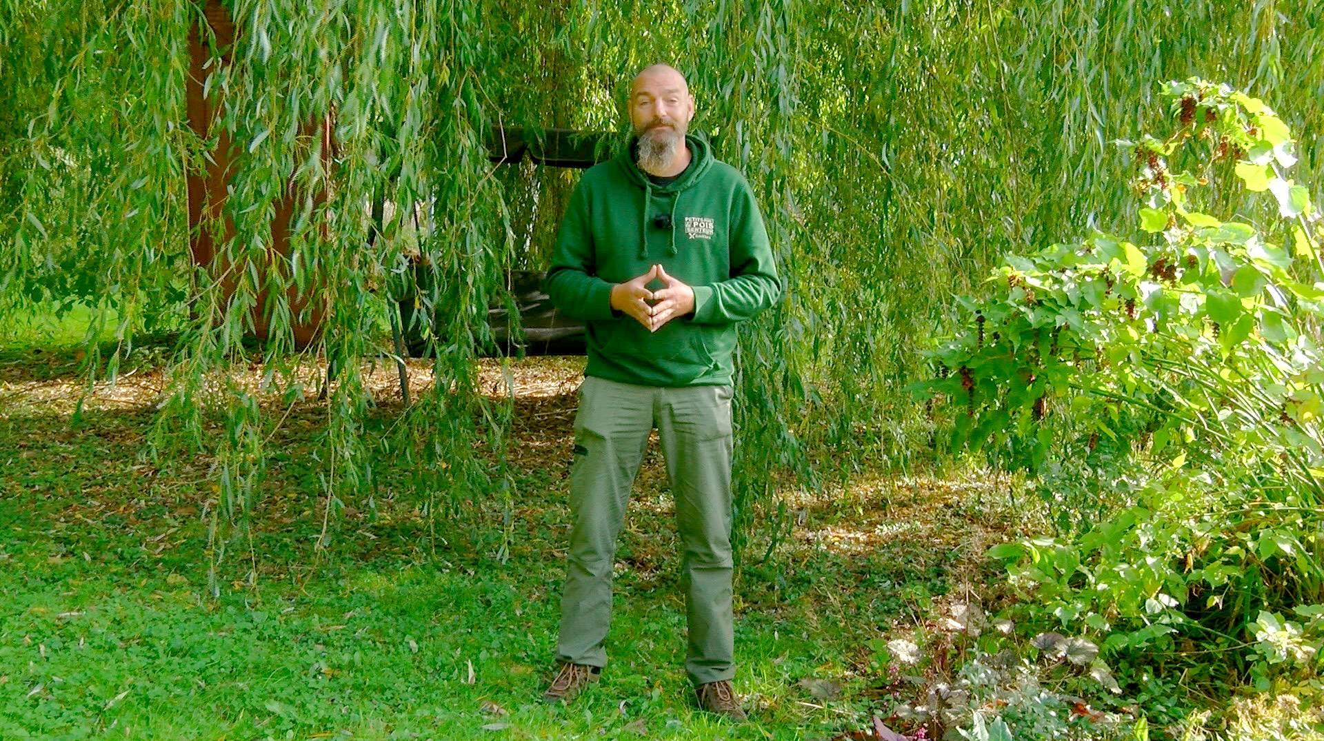 Couleurs d'automne, Aronia et astuces anti-taupes dans Petits pois et pois de senteur du 01/11/2025