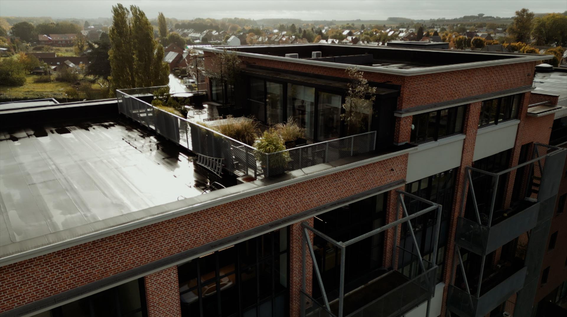 C'est tout toit : vivre en hauteur dans une ancienne sucrerie à Ath