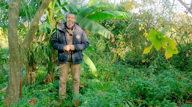 Comment reproduire mon pélargonium ?