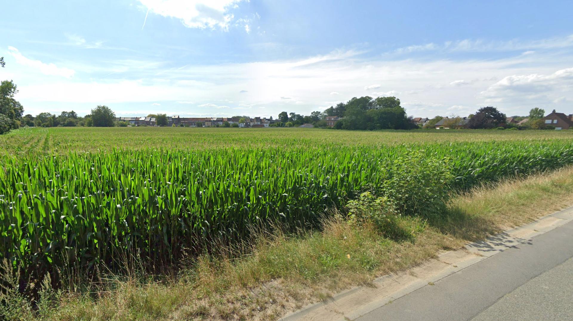 Un nouveau quartier de 120 logements projeté à Kain : l'enquête publique bientôt lancée