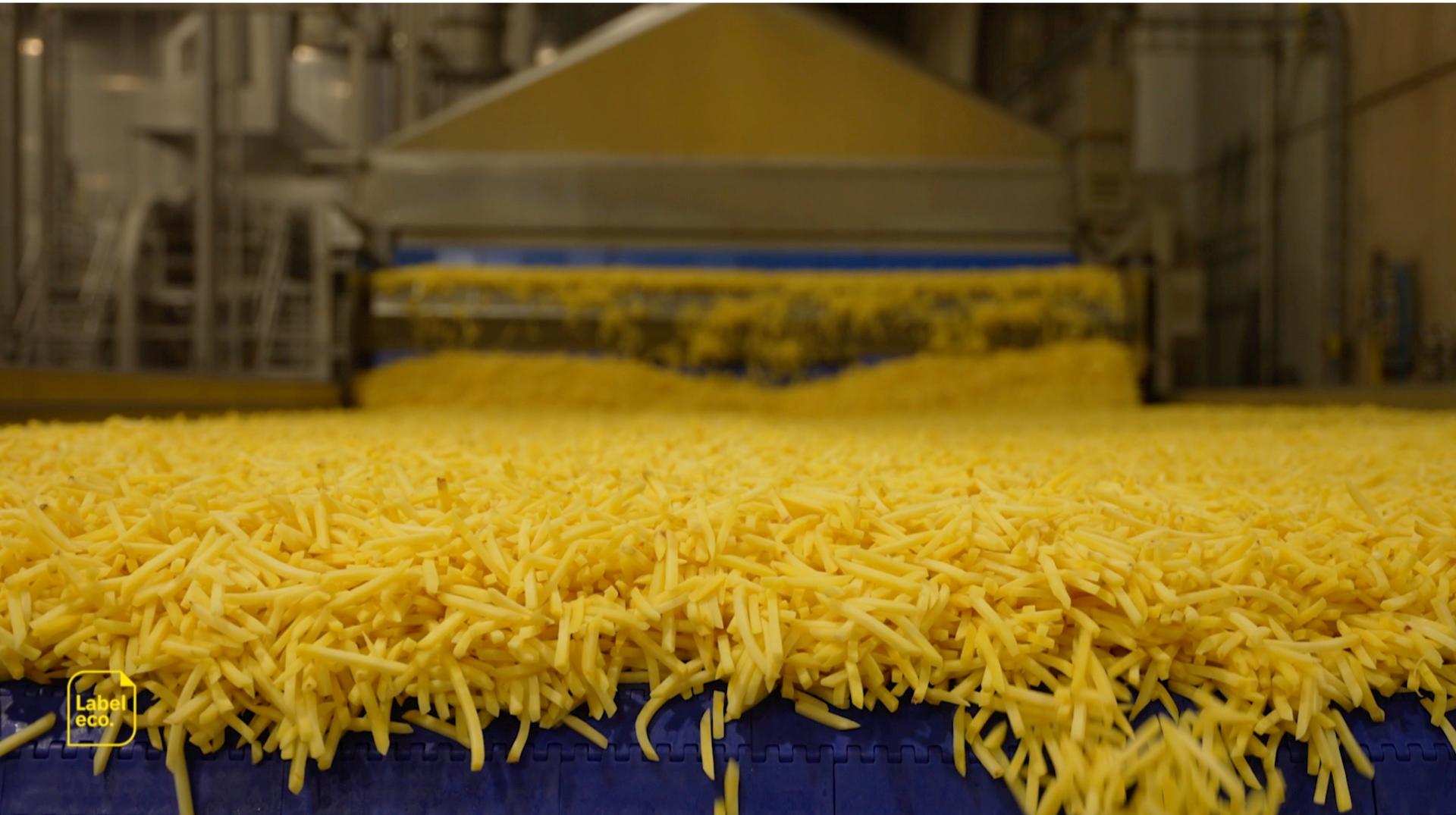 Labeléco : Ecofrost exporte la frite belge à travers le monde