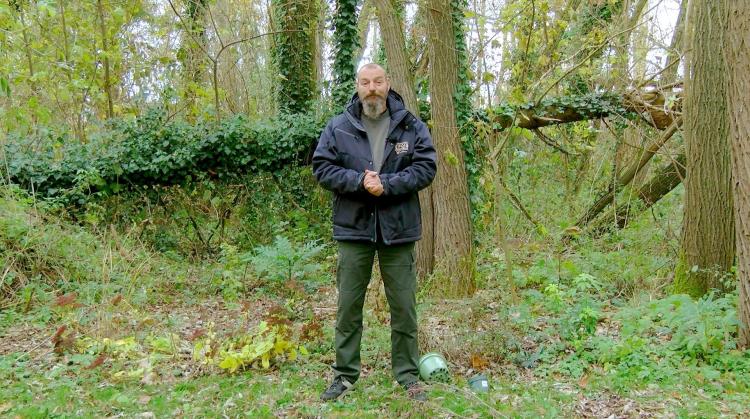 Petits pois et pois de senteur : Brunnera, paillage et gestion des visiteurs indésirés