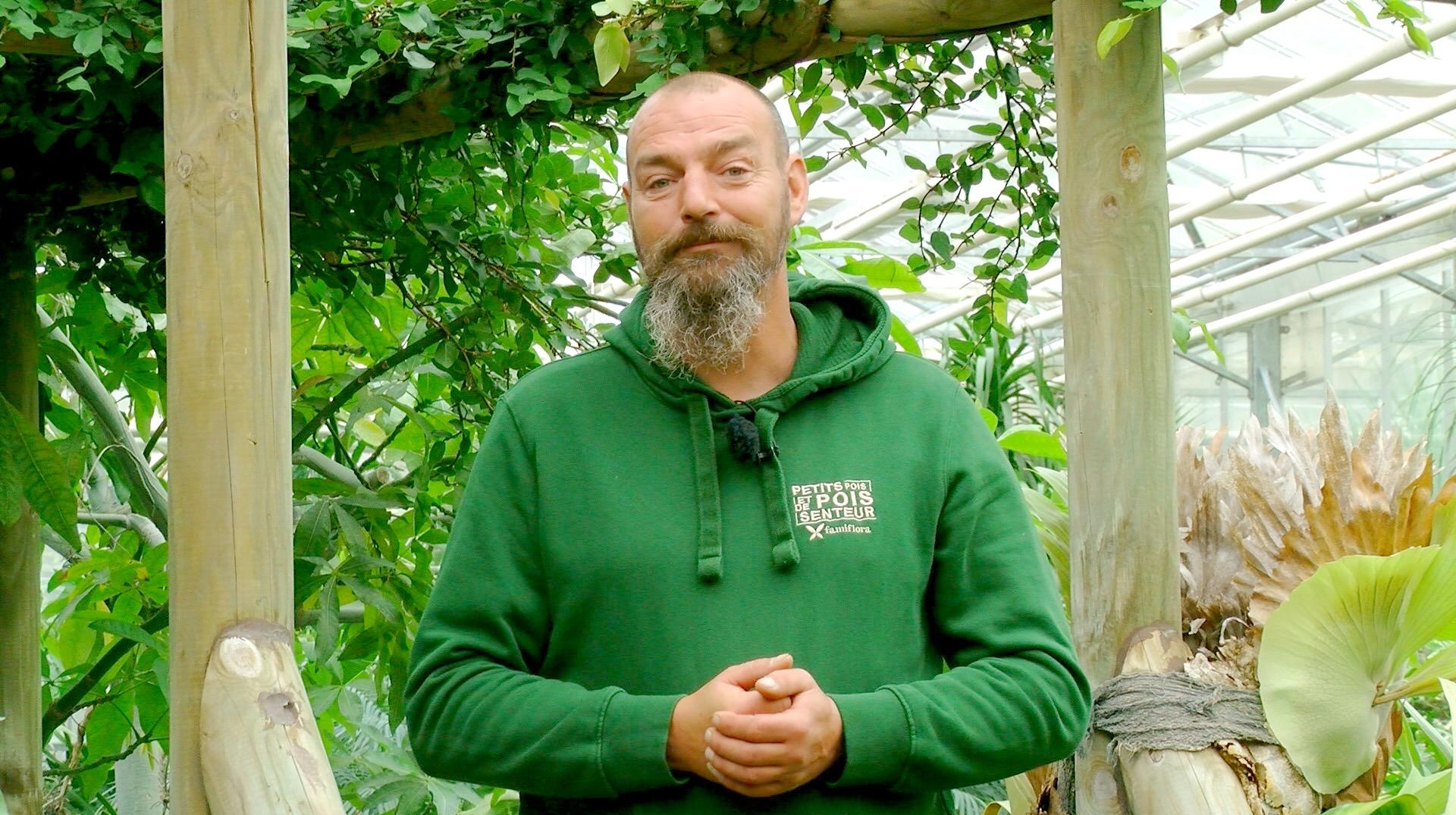 Arbuste argenté, jardin d'hiver et arbres épineux dans Petits pois et pois de senteur