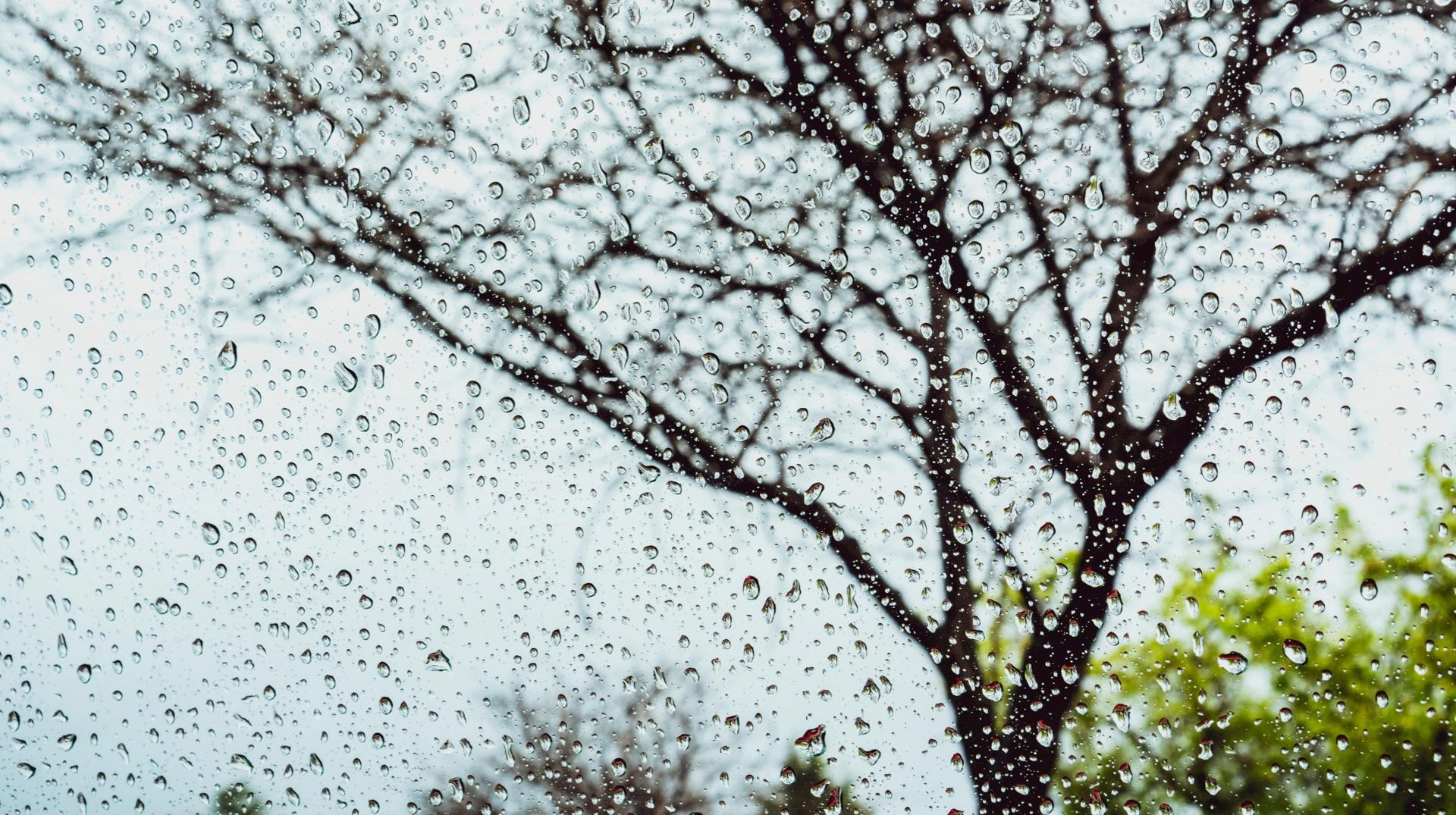 Vent : les parcs de Mouscron et Tournai fermés