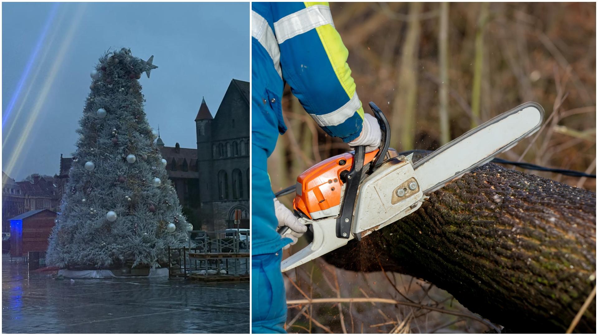 Tempête Goretti : des rafales entre 80 et 100 km/h ont touché notre région, plusieurs chutes d’arbres sur les routes