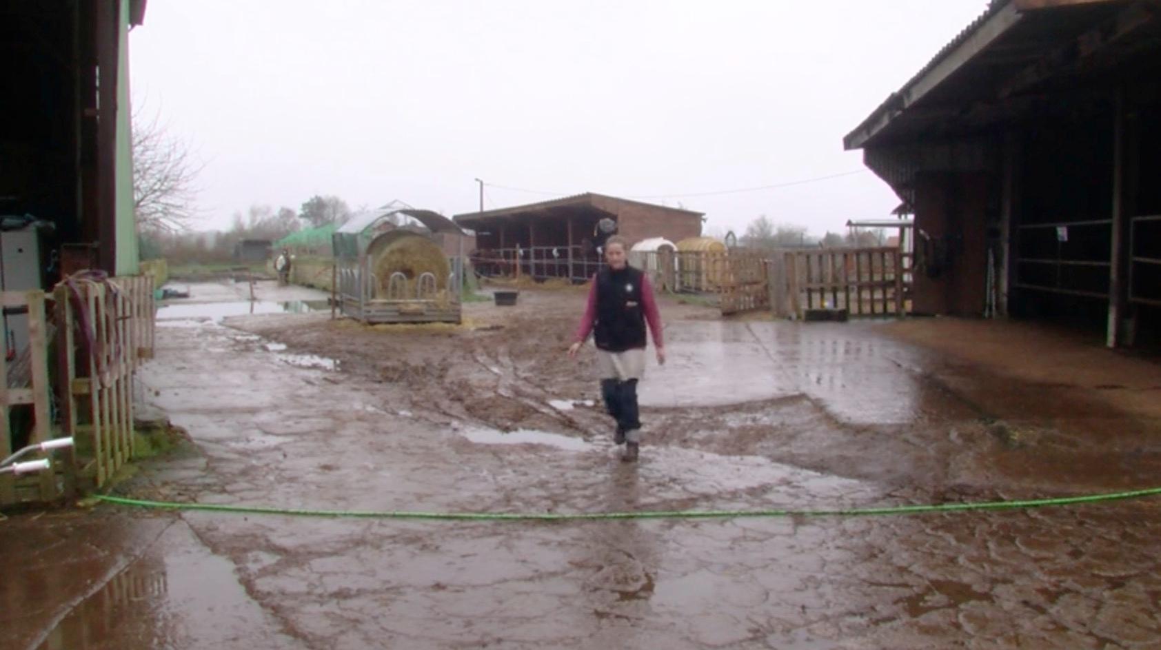 Ville-Pommeroeul : « Au Bonheur Animal », victime d’un cambriolage