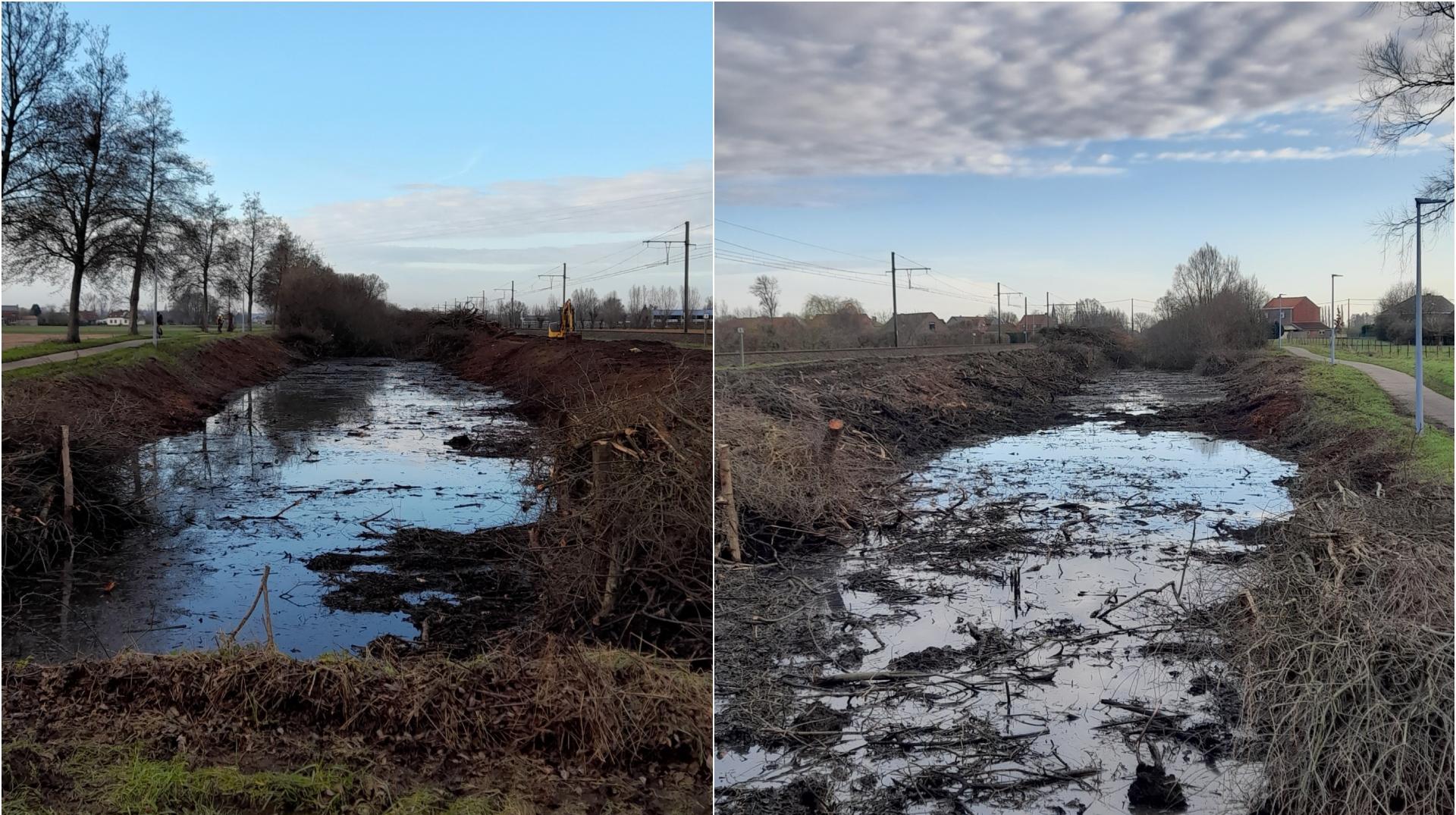 Le canal Ypres-Comines en pleine renaturation écologique