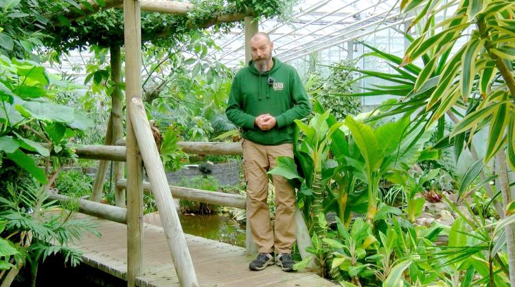 Petits pois et pois de senteur : Jasmin d'hiver, semis de février et fruits d'agrumes