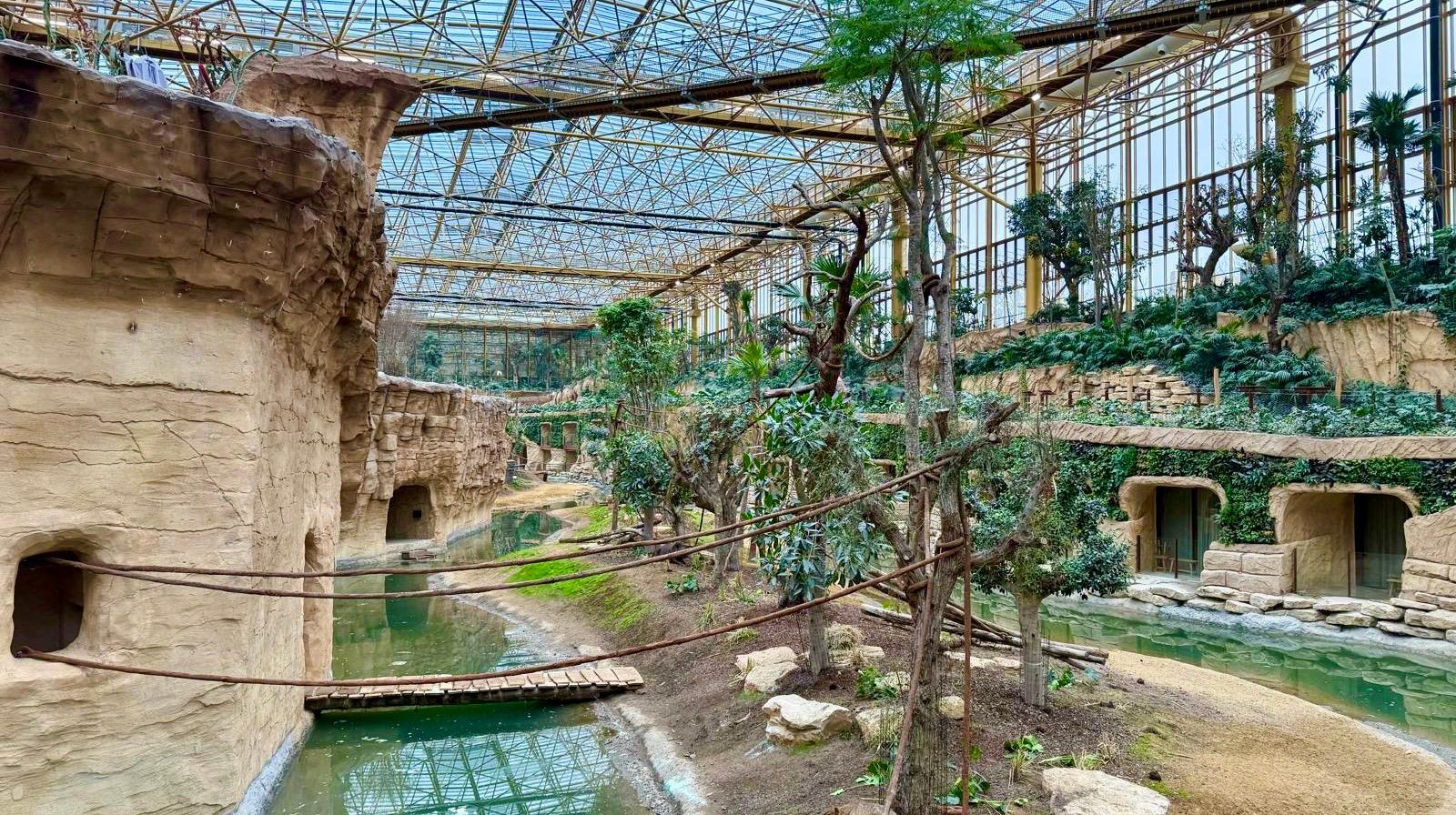 Pairi Daiza : les chiffres fous d’Edenya, la plus grande serre tropicale du monde